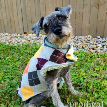Argyle Dog Sweater available at Prodigal Pieces | shop.prodigalpieces.com #prodigalpieces