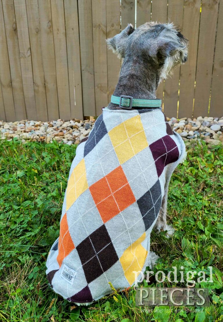 Handmade Dog Sweater | shop.prodigalpieces.com #prodigalpieces