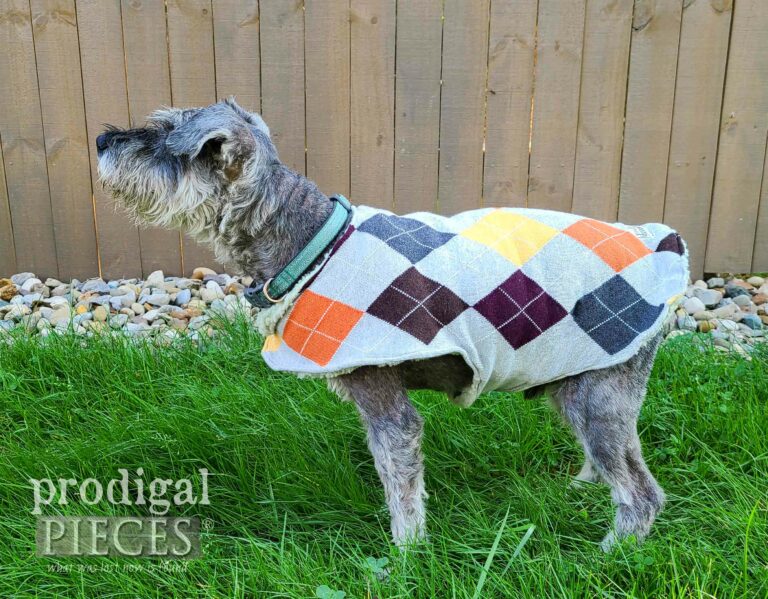 Handmade Dog Sweater for Medium Size Dogs | shop.prodigalpieces.com #prodigalpieces